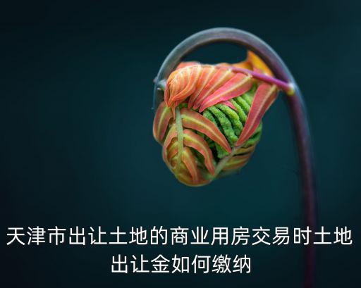 天津市出讓土地的商業(yè)用房交易時(shí)土地出讓金如何繳納