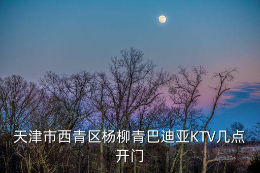 天津市西青區楊柳青巴迪亞KTV幾點開門