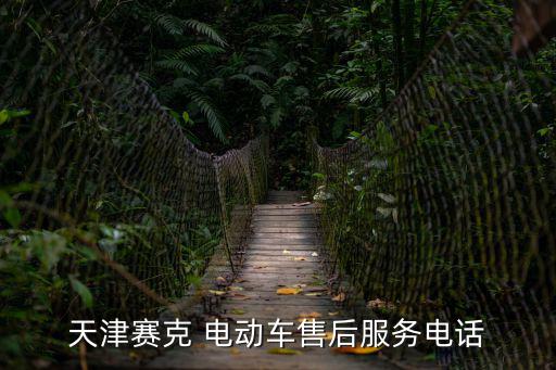 天津賽克 電動(dòng)車售后服務(wù)電話