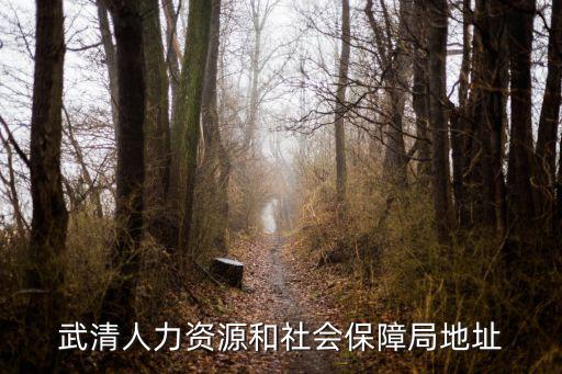 武清人力資源和社會保障局地址