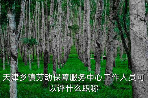 天津鄉(xiāng)鎮(zhèn)勞動保障服務中心工作人員可以評什么職稱