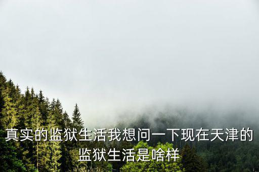 真實的監(jiān)獄生活我想問一下現(xiàn)在天津的監(jiān)獄生活是啥樣