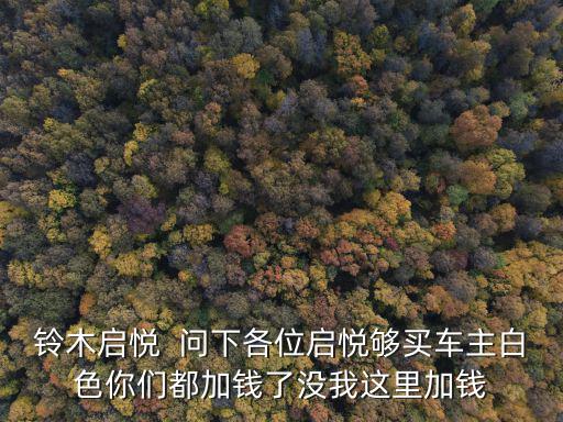 鈴木啟悅  問下各位啟悅夠買車主白色你們都加錢了沒我這里加錢