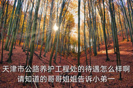 天津市尚德公路養(yǎng)護(hù)，天津尚德華映文化傳播有限公司環(huán)境怎么樣