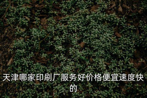 天津哪家印刷廠服務好價格便宜速度快的