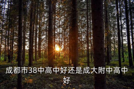 成都市38中高中好還是成大附中高中好