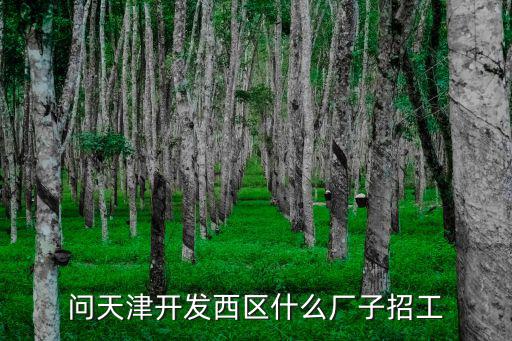 天津市發電技術設備有限公司招聘，天津市發電技術設備有限公司怎么樣