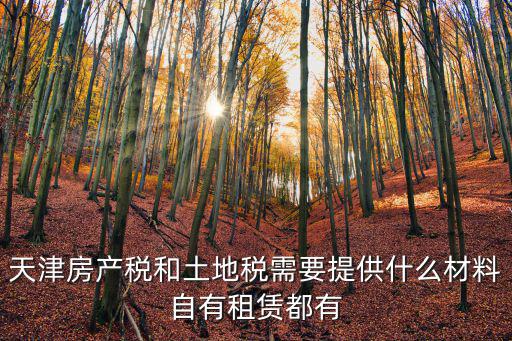 天津房產(chǎn)稅和土地稅需要提供什么材料自有租賃都有