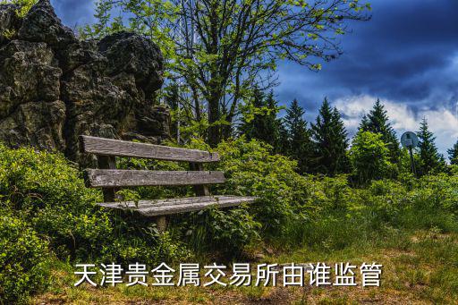 天津貴金屬交易所由誰監(jiān)管