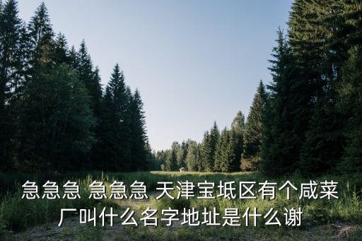 急急急 急急急 天津寶坻區有個咸菜廠叫什么名字地址是什么謝