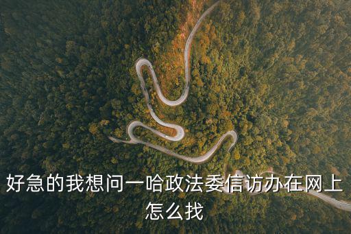 好急的我想問一哈政法委信訪辦在網(wǎng)上怎么找