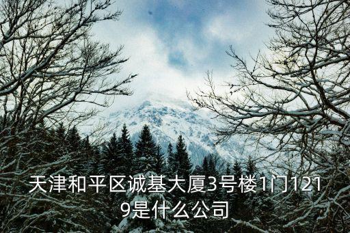 天津和平區(qū)誠基大廈3號樓1門1219是什么公司