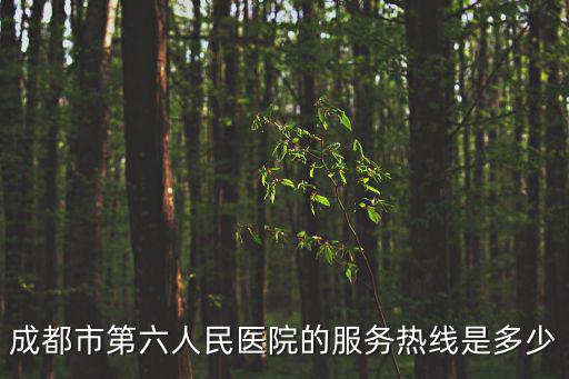 成都市第六人民醫院護理部主任，朱艷紅是護理部主任嗎