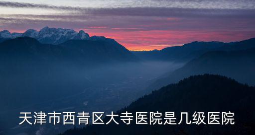 天津市西青區大寺醫院是幾級醫院