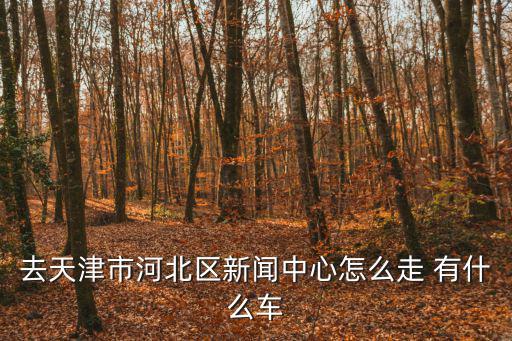 去天津市河北區(qū)新聞中心怎么走 有什么車
