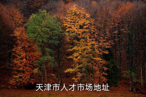 天津市人才服務(wù)中心王，人才服務(wù)中心電話我想查詢下我的檔案