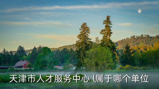 天津市人才服務(wù)中心 l屬于哪個單位