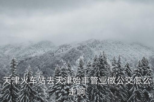 天津火車站去天津始豐管業(yè)做公交怎么走啊