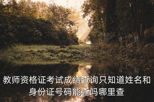教師資格證考試成績查詢只知道姓名和身份證號碼能查嗎哪里查