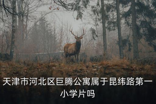 天津市河北區(qū)巨騰公寓屬于昆緯路第一小學(xué)片嗎