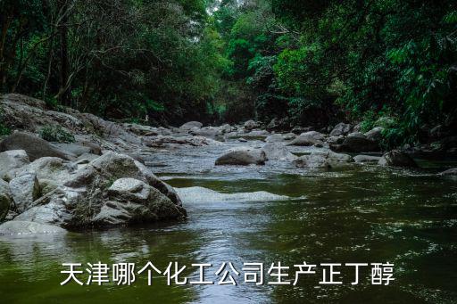 天津市鯤鵬翔宇化工有限公司，天津哪個(gè)化工公司生產(chǎn)正丁醇