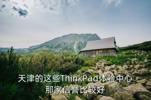 天津的這些ThinkPad體驗中心那家信譽比較好
