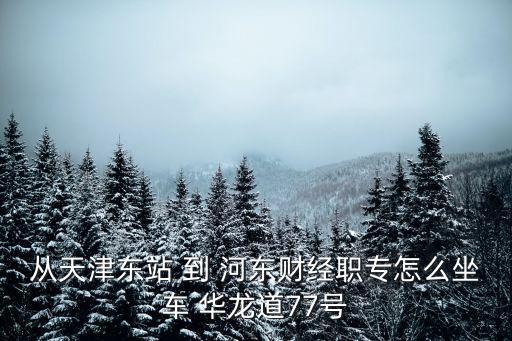 從天津東站 到 河?xùn)|財經(jīng)職專怎么坐車 華龍道77號