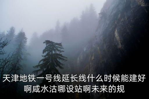 天津市咸水沽未來規劃，天津津南區咸水沽頭道溝拆遷計劃