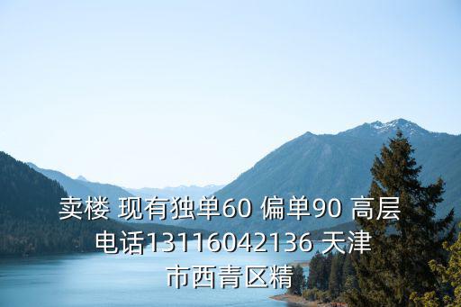賣樓 現有獨單60 偏單90 高層 電話13116042136 天津市西青區精