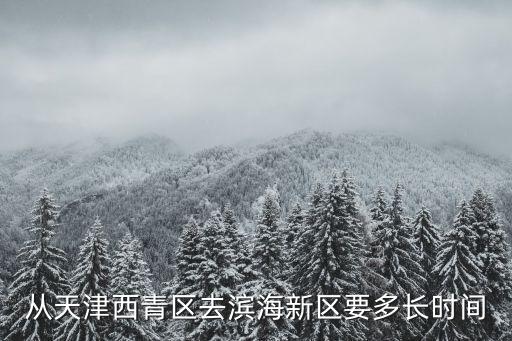 從天津西青區去濱海新區要多長時間