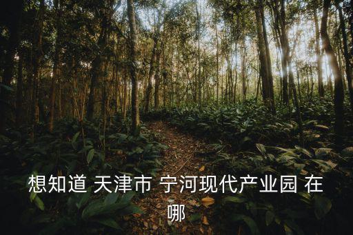 想知道 天津市 寧河現代產業園 在哪