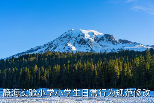 靜海實驗小學(xué)小學(xué)生日常行為規(guī)范修改