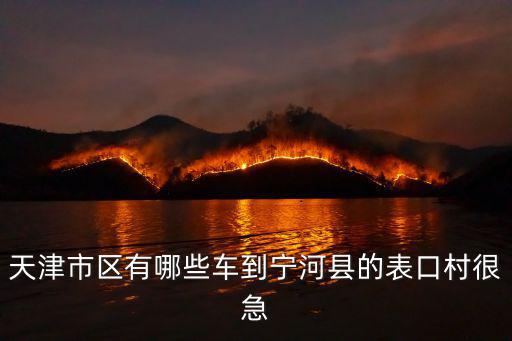 天津市寧河縣表口鄉表口中學，那個朋友知道天津市寧河縣有多少個村嗎