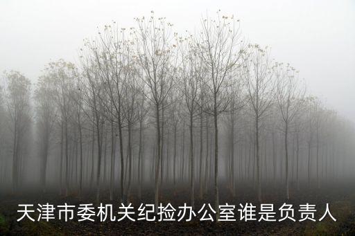 天津市委機(jī)關(guān)紀(jì)撿辦公室誰是負(fù)責(zé)人