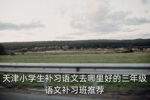 天津小學(xué)生補(bǔ)習(xí)語(yǔ)文去哪里好的三年級(jí)語(yǔ)文補(bǔ)習(xí)班推薦