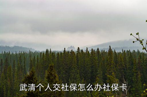 武清個人交社保怎么辦社保卡