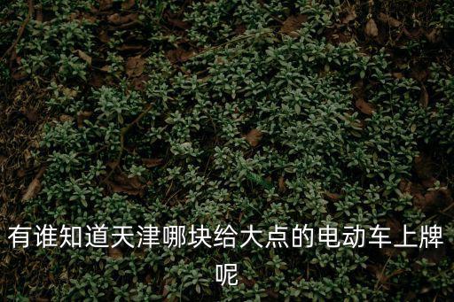 有誰知道天津哪塊給大點的電動車上牌呢