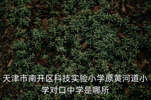 天津市南開(kāi)區(qū)實(shí)驗(yàn)科技學(xué)校，天津市南開(kāi)區(qū)科技實(shí)驗(yàn)小學(xué)原黃河道小學(xué)對(duì)口中學(xué)是哪所