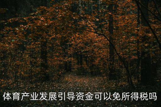 體育產業發展引導資金可以免所得稅嗎