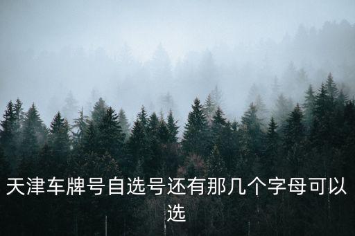 天津市小汽車選號，天津市怎樣申請汽車搖號