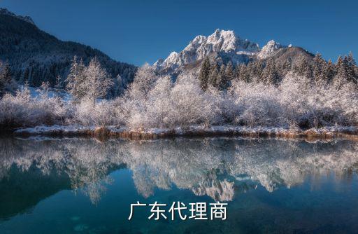 廣東代理商