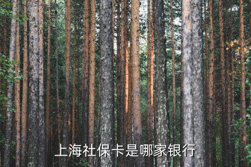 上海社保卡是哪家銀行