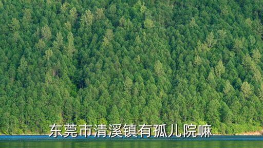 東莞市清溪鎮有孤兒院嘛