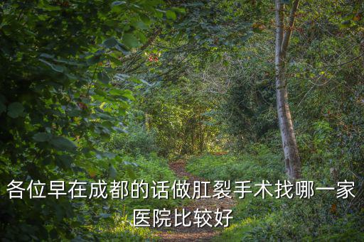 成都市第一人民醫(yī)院 肛裂手術(shù)，我是成都的請問肛裂怎么辦啊急急急