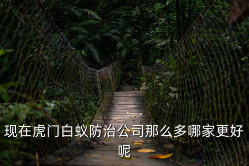 現在虎門白蟻防治公司那么多哪家更好呢