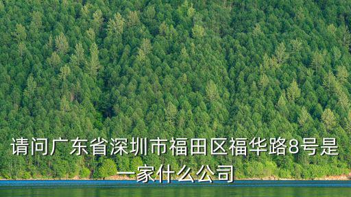 請問廣東省深圳市福田區福華路8號是一家什么公司