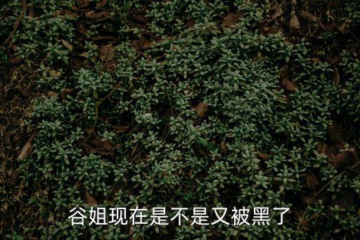 谷姐現在是不是又被黑了