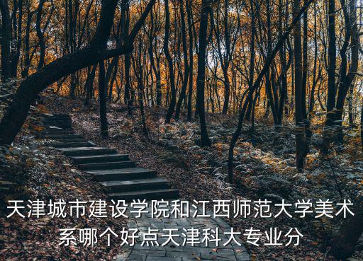 天津城市建設學院和江西師范大學美術系哪個好點天津科大專業分