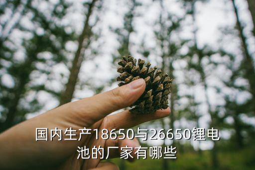 深圳市鵬達(dá)盛電子制品有限公司，國內(nèi)生產(chǎn)18650與26650鋰電池的廠家有哪些