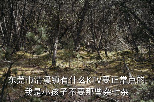 東莞市清溪鎮(zhèn)有什么KTV要正常點(diǎn)的我是小孩子不要那些雜七雜